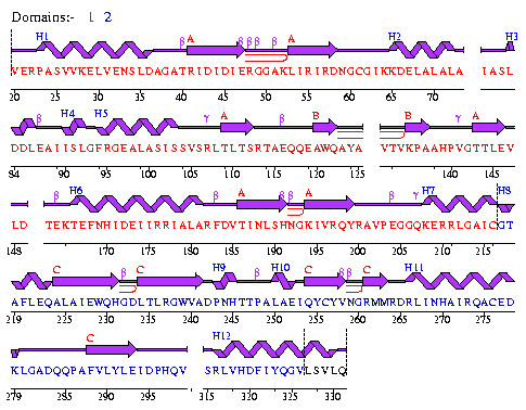 Secondary structure plot